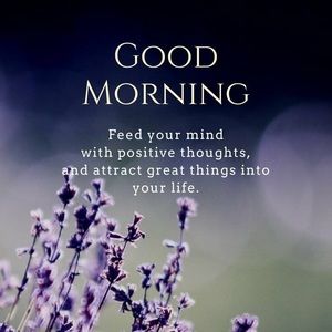 Meet your Posher, Alysha